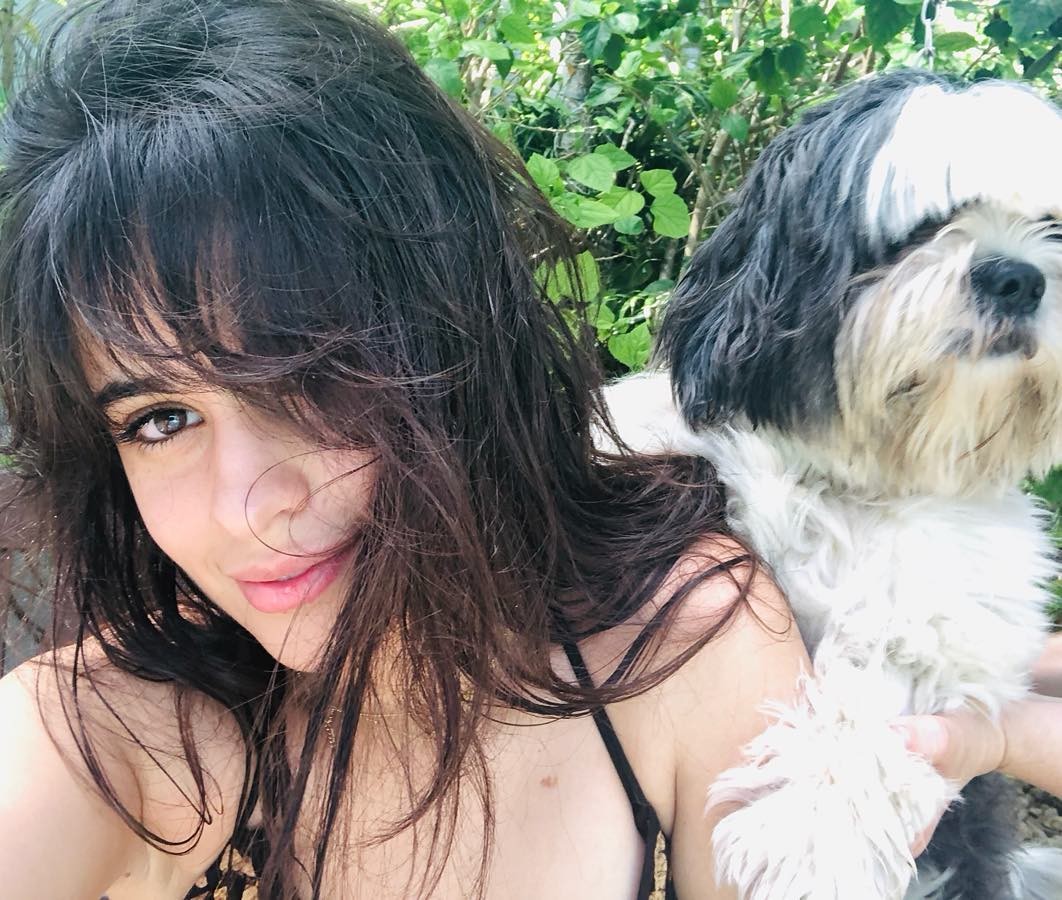 camila cabello near nude fappening 49