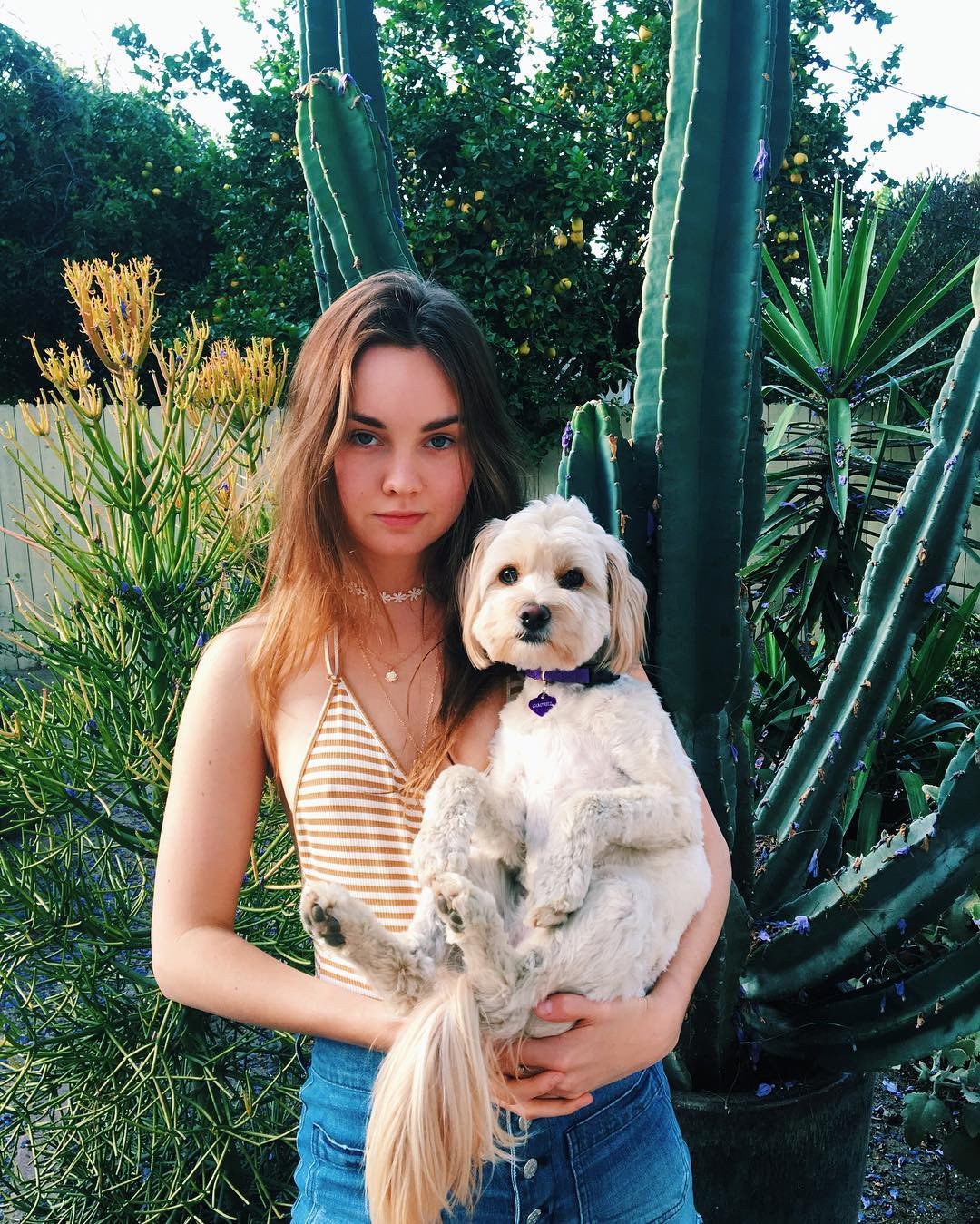 liana liberato sexy the fappening pro 6